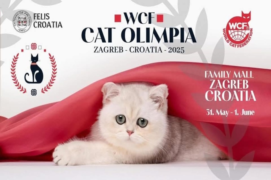 Olimpia